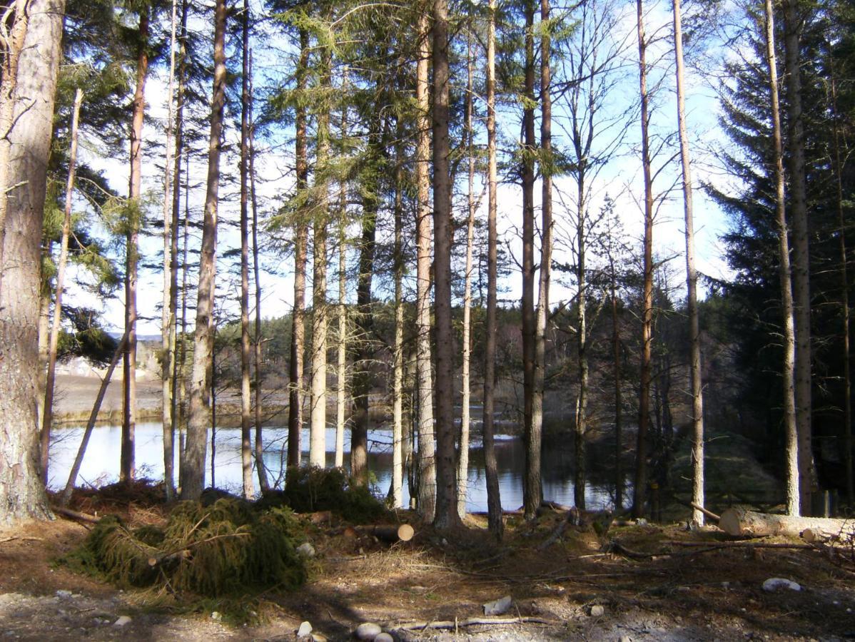 Cairngorm Lodges Aboyne Exterior photo